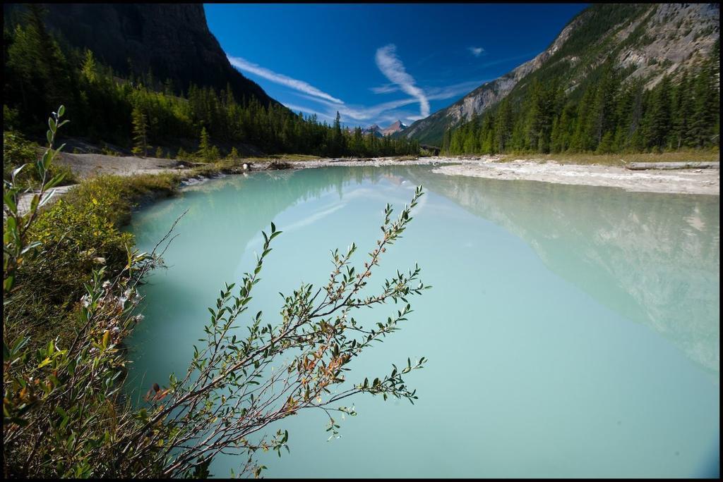 Cathedral Mountain Lodge Field Bagian luar foto