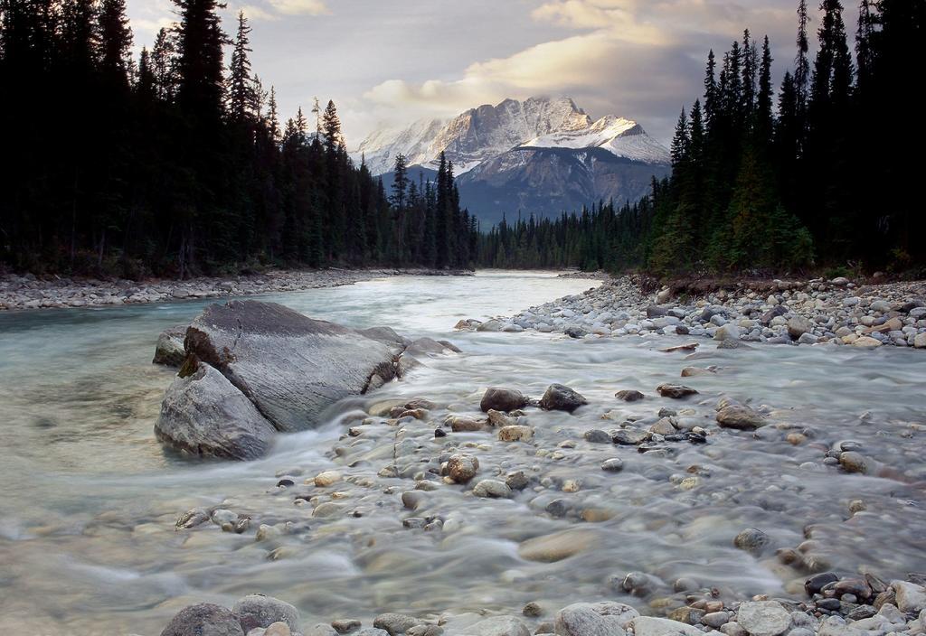 Cathedral Mountain Lodge Field Bagian luar foto